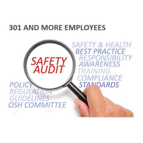 Health and Safety Compliance Audit - 301 and More Employees preview image 0