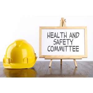 H&S Committee - Employer Representative Appointment