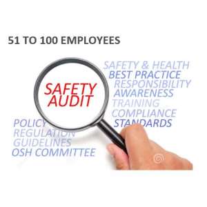 Health and Safety Compliance Audit - 51 to 100 Employees