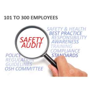 Health and Safety Compliance Audit - 101 to 300 Employees