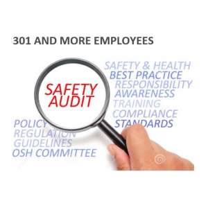 Health and Safety Compliance Audit - 301 and More Employees