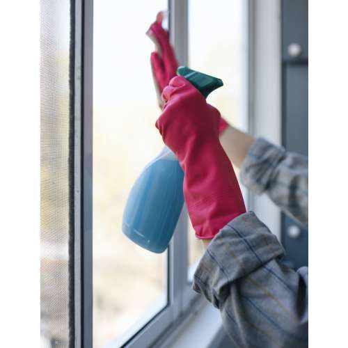 New Domestic Worker WCA Registration preview image 0