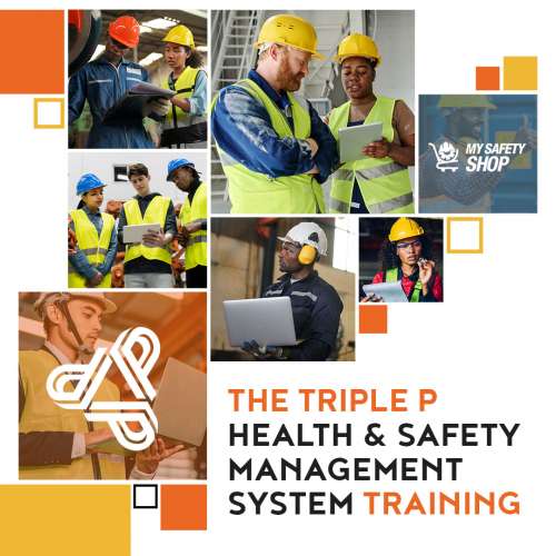 Triple P HSMS Training Course preview image 0