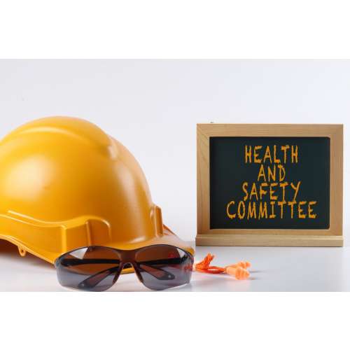 H&S Committee Chairperson Appointment preview image 0