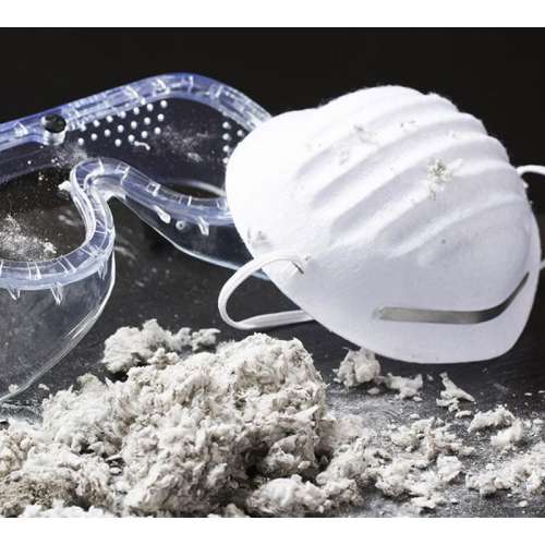 Asbestos Survey - Less than 100 Employees preview image 0