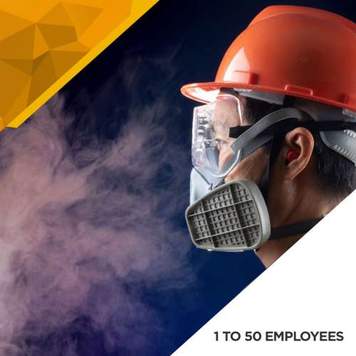 Dust Survey - 1 to 50 Employees preview image 0