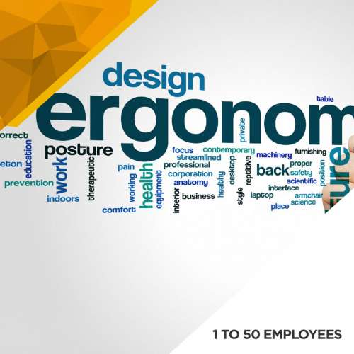 Ergonomics Baseline Assessment - 1 to 50 Employees preview image 0