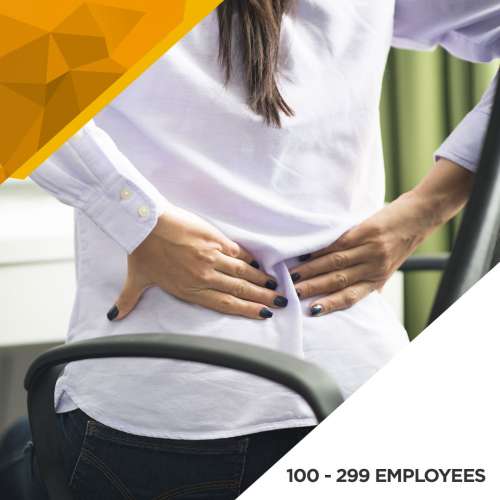 Ergonomics Baseline Assessment - 100 to 299 Employees preview image 0