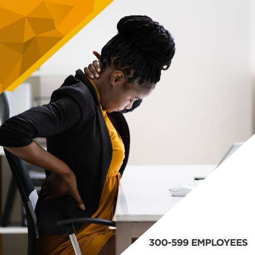 Ergonomics Baseline Assessment - 300 to 599 Employees preview image 0