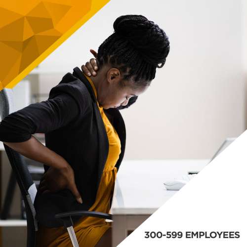 Ergonomics Baseline Assessment - 300 to 599 Employees preview image 0