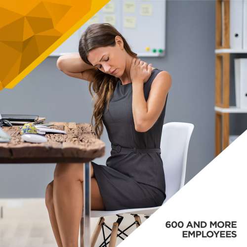 Ergonomics Baseline Assessment - 600 and More Employees preview image 0