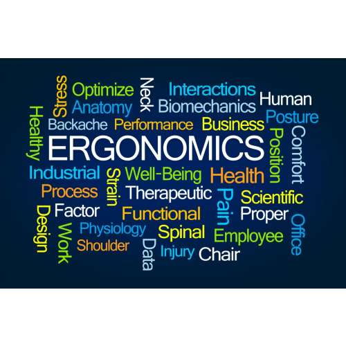 Ergonomics Risk Exposure Training - Per Person preview image 0
