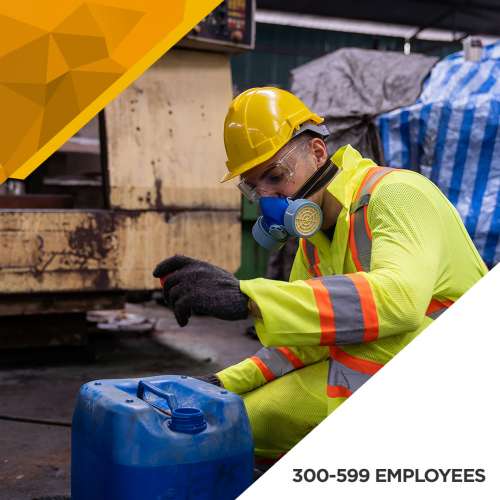 Hazardous Chemical Agents Survey - 300 to 599 Employees preview image 0