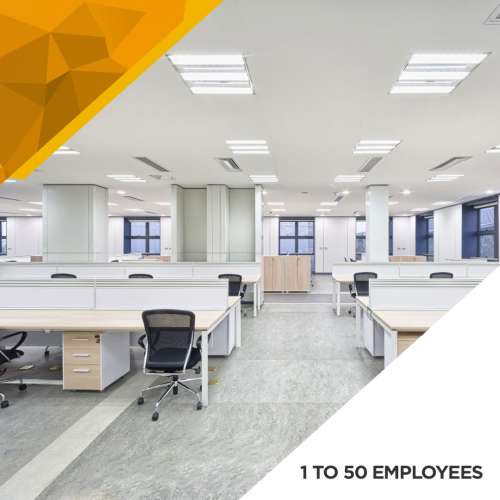 Illumination Survey - 1-to-50-Employees preview image 0