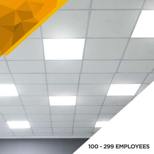 Illumination Survey - 100 to 299 Employees preview image 0
