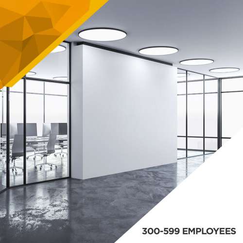 Illumination Survey - 300 to 599 Employees preview image 0