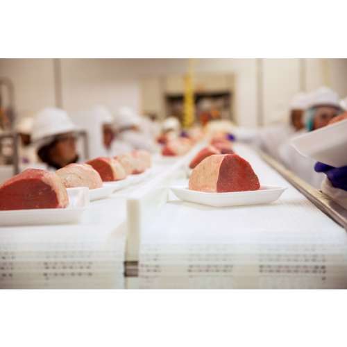 Medical - Food Handler preview image 0