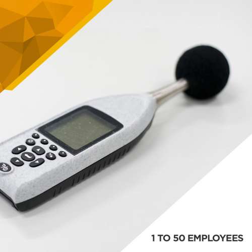 Noise Survey - 1 to 50 Employees preview image 0